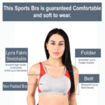 3 GREY RED-1