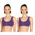 purple-purple