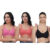 pink_carrot_black