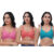 pink_carrot_ramagreen