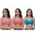 pink_carrot_t-blue