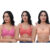 pink_carrot_peach